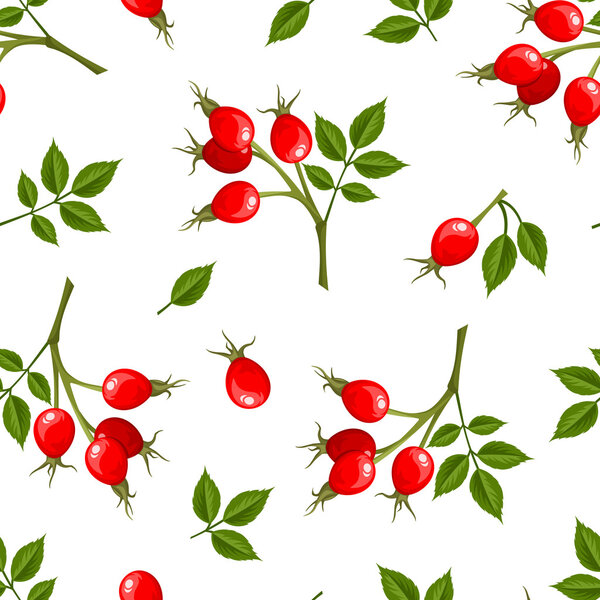 Vector seamless pattern with rosehip berries. Vector illustration.
