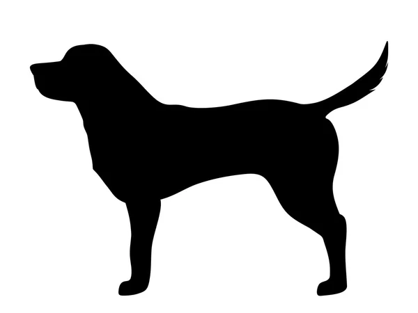 Labrador retriever dog. Vector black silhouette. — Stock Vector