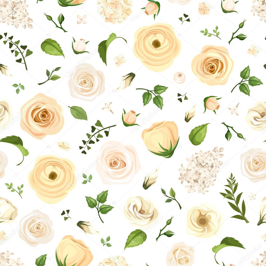 ラナンキュラスストックベクター ロイヤリティフリーラナンキュラスイラスト Depositphotos