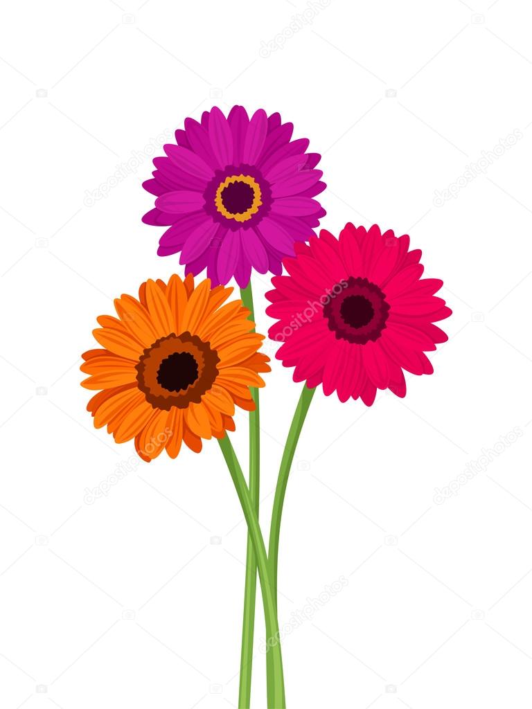 Flores de gerberas rosas, naranjas y moradas. Ilustración vectorial .  Vector de stock #84366024 de ©Naddya, image size:768x1024