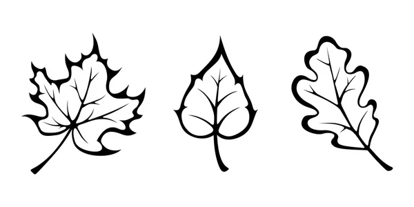 Осенние листья. Векторные чёрные контуры . — стоковый вектор