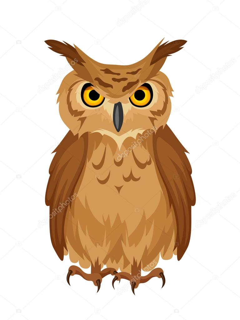 Brown owl. Vector illustration.