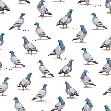 Güvercin kuşları ve beyaz arka planda kırıntıları olan kusursuz bir desen. Vektörsüz yazdırma