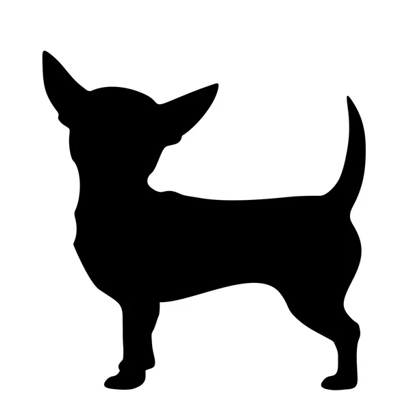 Un cane chihuahua. Silhouette nera vettoriale . — Vettoriale Stock