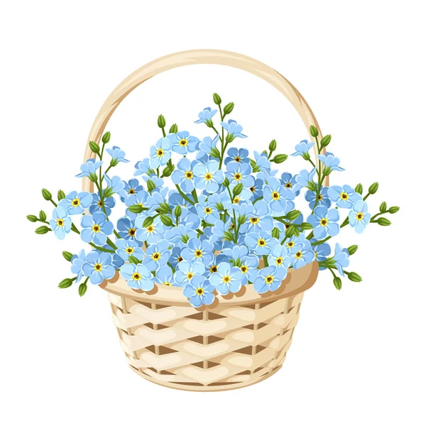 Basket with blue forget-me-not flowers. Vector illustration. — Stock Vector