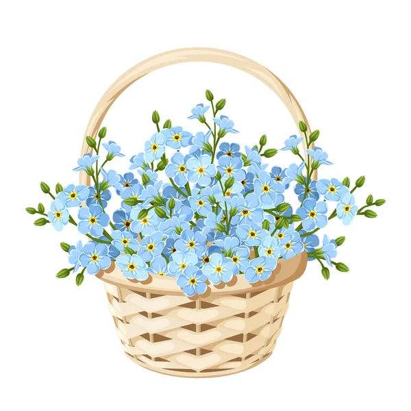 Mand met blauwe forget-me-not bloemen. Vectorillustratie. — Stockvector