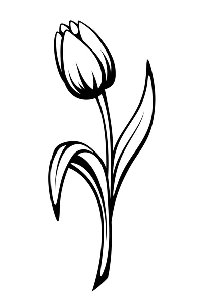 Zwarte contour van een tulp bloem. Vectorillustratie lijn kunst. — Stockvector