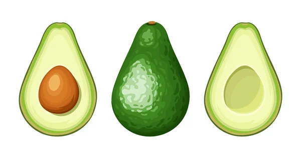 Ganze und in Scheiben geschnittene Avocadofrüchte. Vektorillustration. — Stockvektor