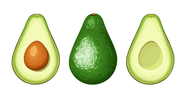 Frutas de abacate inteiras e fatiadas. Ilustração vetorial . — Vetor de Stock