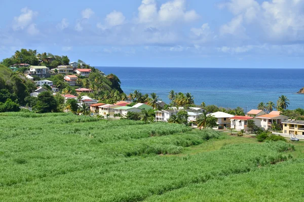 Martinique, Tartane pitoresk köy Batı Hint Adaları — Stok fotoğraf