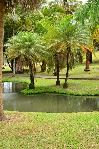 மார்டினிக், லே பிராங்கோயிஸில் உள்ள அழகிய குடியிருப்பு கிளெமென்ட் — ஸ்டாக் புகைப்படம்