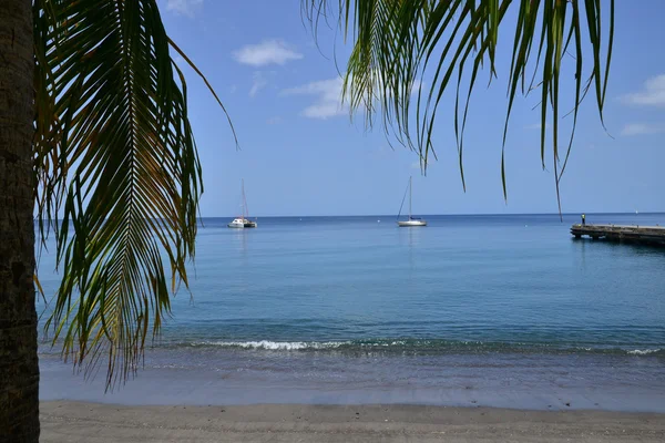 Karibik, die malerische Stadt des Heiligen Pierre in Westindien — Stockfoto