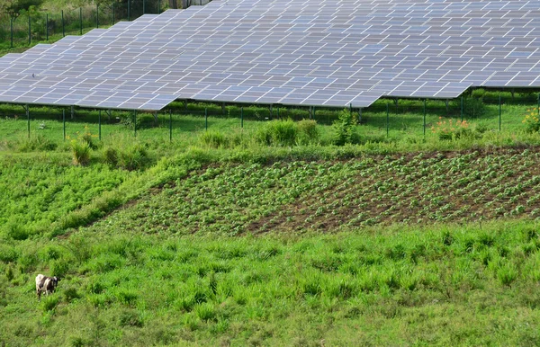 Martinique, fotovoltaik panel Bellefontaine kırsal kesimde — Stok fotoğraf