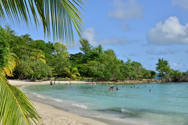 Martinique, ville pittoresque de Rivière Pilote aux Antilles — Photo