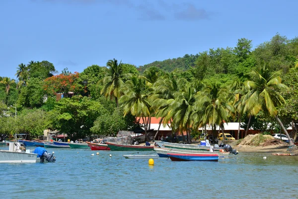 Martinique, pittoreske dorp van Tartane in West-Indië — Stockfoto