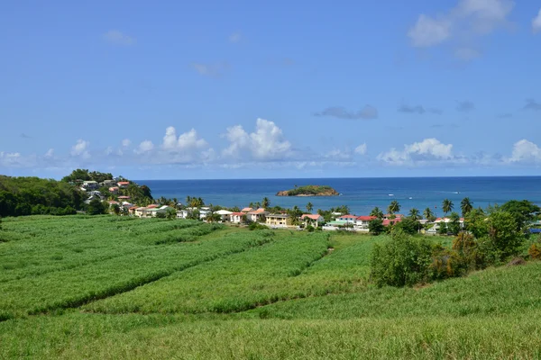 Martinique, village pittoresque de Tartane aux Antilles — Photo