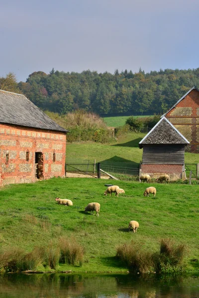 Frankreich, malerisches Dorf der Rebets in seiner maritimen — Stockfoto