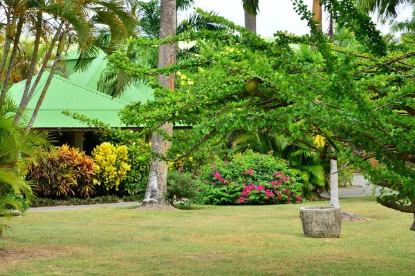 Martinica, pintoresco parque en la ciudad de Sainte Anne en Wes —  Fotos de Stock