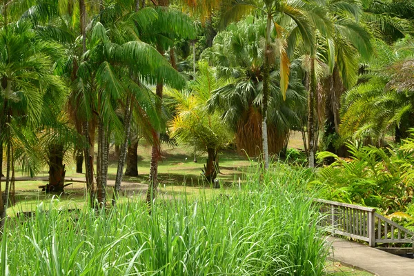 Martinique, pitoresk yerleşime Le Francois biz Clement — Stok fotoğraf