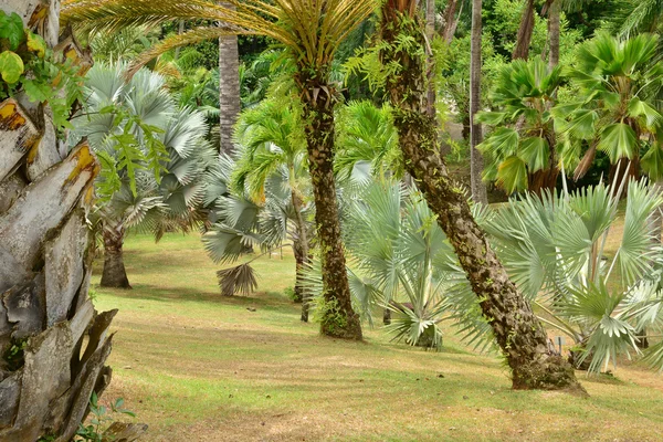 Martinique, pittoreska boning Clement i Le Francois i vi — Stockfoto