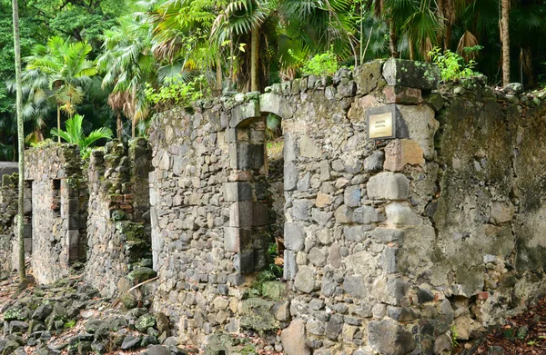 Der malerische martinique zoo in le carbet in westindien — Stockfoto