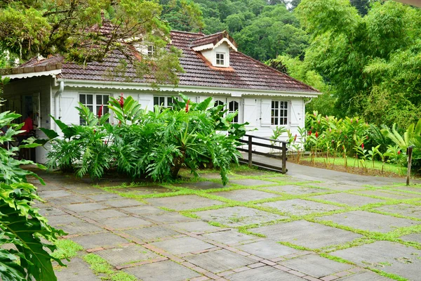 Francia, el pintoresco jardín de Balata en Martinica — Foto de Stock