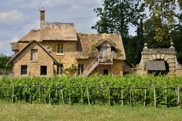 Versailles, Francja - 19 sierpnia 2015: Pałacu Wersalskiego — Zdjęcie stockowe