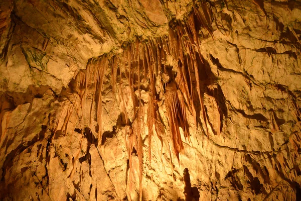 Slovenia, picturesque and historical cave of Postojna — Stock Photo, Image