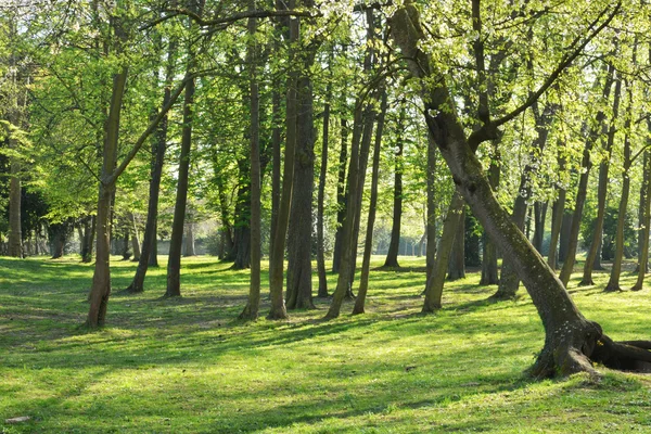 Vernouillet, Francia - 14 aprile 2015: il maniero Buissons — Foto Stock