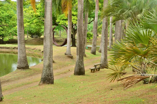 Martinique, l'Habitation pittoresque Clément à Le Francois in We — Photo