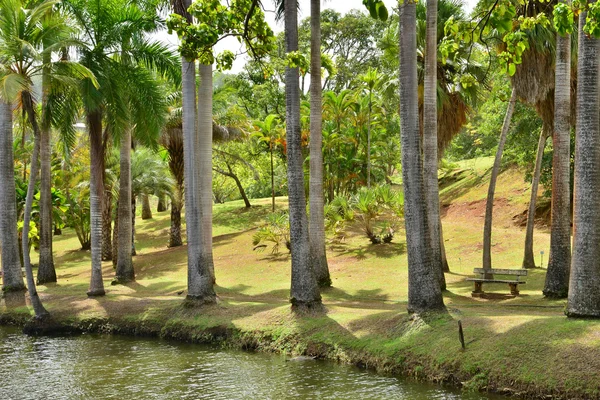 Martinique, l'Habitation pittoresque Clément à Le Francois in We — Photo