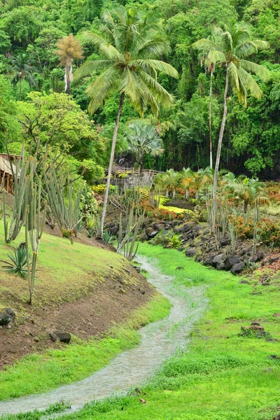 De pittoreske Martinique dierentuin in Le Carbet in West-Indië — Stockfoto