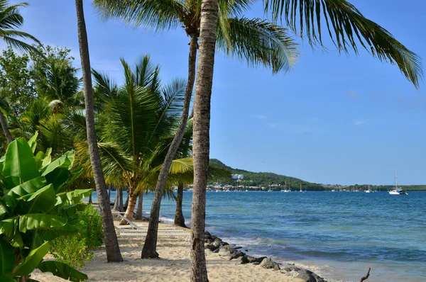 Martinique, pittoreska staden Sainte Anne i Västindien — Stockfoto