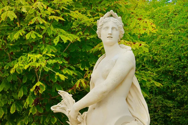 Versailles; Frankrike - augusti 19 2015: marmorstaty — Stockfoto
