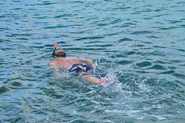 Martinique, plongée sous-marine à Sainte Anne — Photo