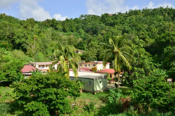 Martinique, malerische stadt riviere pilote in westindien — Stockfoto