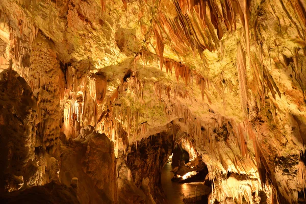 Eslovenia, pintoresca e histórica cueva de Postojna —  Fotos de Stock