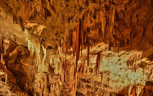 Eslovenia, pintoresca e histórica cueva de Postojna —  Fotos de Stock