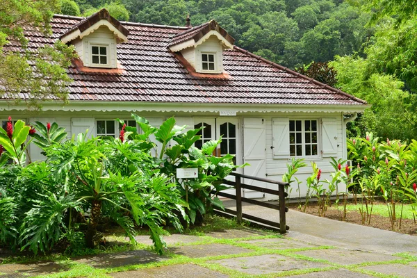 Frankreich, der malerische Garten von balata in martinique — Stockfoto