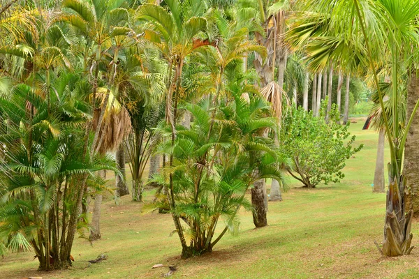 Martinique, pittoreske bewoning Clement in Le Francois in We — Stockfoto