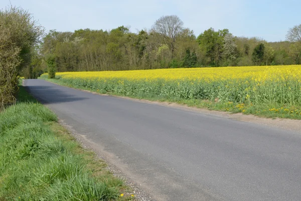 Frankreich, das malerische Dorf Courdimanche — Stockfoto