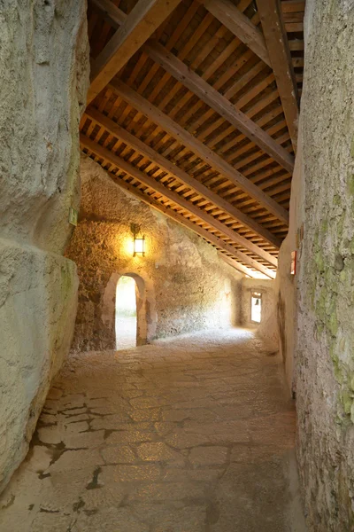 Slovenia, picturesque and historical castle of Predjama — Stock Photo, Image