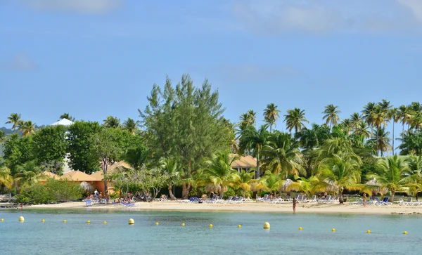 Martinique, picturesque village of Sainte Anne in West Indies — Stock Photo, Image