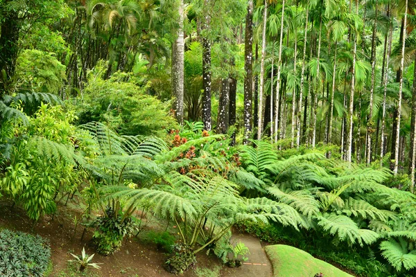 Fransa, Balata pitoresk bahçe içinde Martinique — Stok fotoğraf
