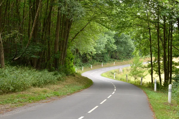 Wy dit joli village, Frankreich - 8. August 2015: Wald — Stockfoto