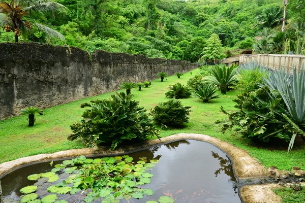 El pintoresco zoológico de Martinica en Le Carbet en las Indias Occidentales — Foto de Stock