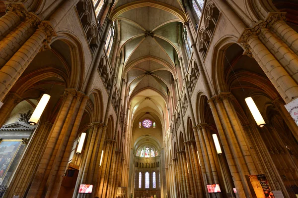 法国里昂-2016 年 4 月 13 日 ︰ 大教堂 — 图库照片