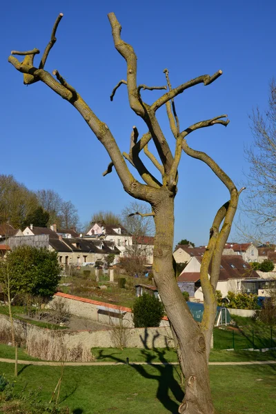 Oinville sur montcient, Frankreich - 19. Februar 2016: die Bilder — Stockfoto