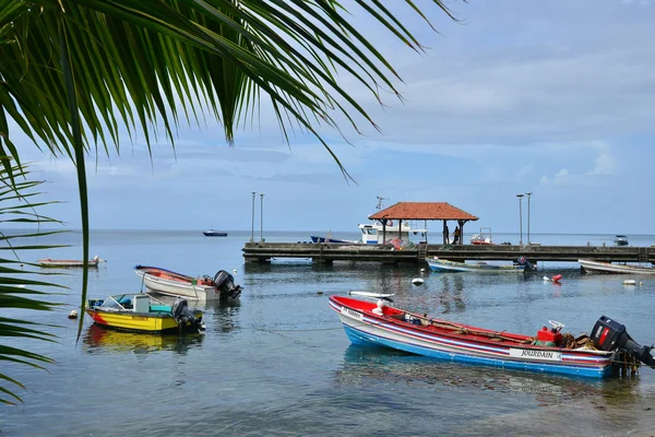 Martinique, schilderachtige stad van Sainte Luce in West-Indië — Stockfoto