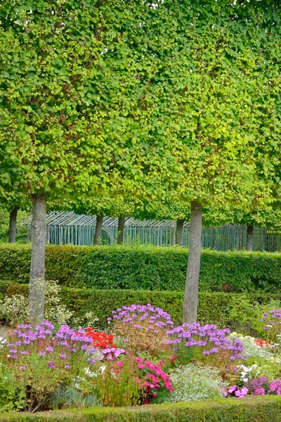 Versailles, France - august 19 2015 : Versailles castle — Stock Photo, Image